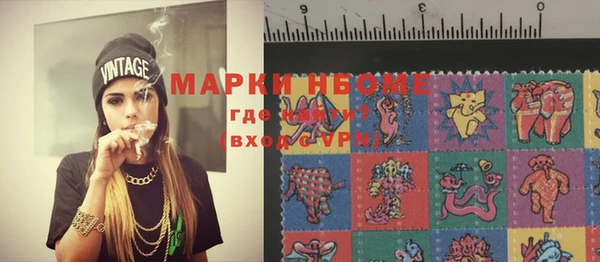 шишки Осинники