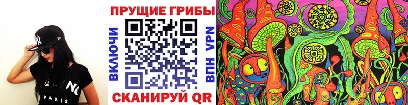 Купить Берёзовский Псилоцибиновые грибы Psilocybe
